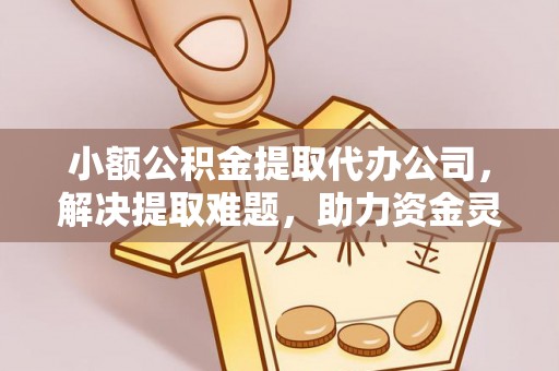 拜城小额公积金提取代办公司，解决提取难题，助力资金灵活使用