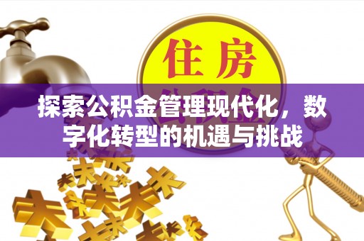 镇安探索公积金管理现代化，数字化转型的机遇与挑战
