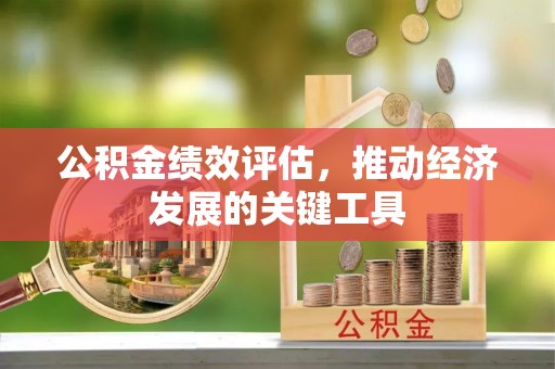 肃宁公积金绩效评估，推动经济发展的关键工具