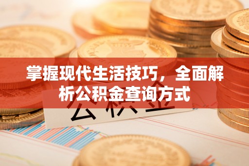安居掌握现代生活技巧，全面解析公积金查询方式