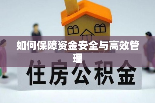 盘龙如何保障资金安全与高效管理