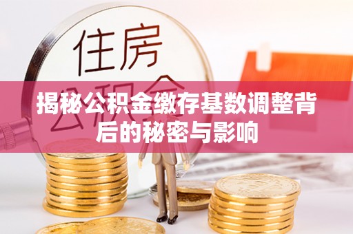 盘龙揭秘公积金缴存基数调整背后的秘密与影响
