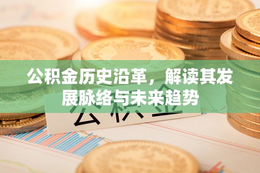 盘龙公积金历史沿革，解读其发展脉络与未来趋势