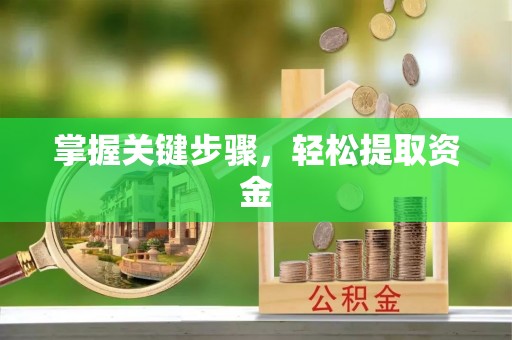 原平掌握关键步骤，轻松提取资金
