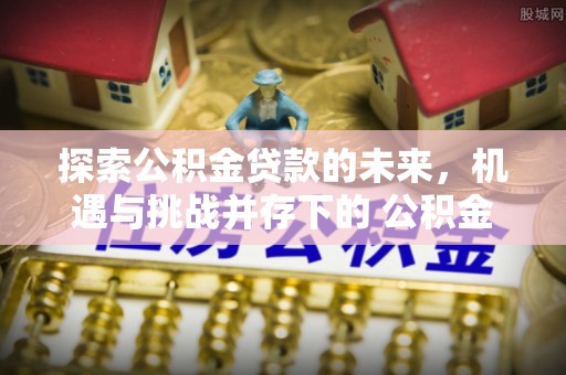原平探索公积金贷款的未来，机遇与挑战并存下的 公积金贷款风险防控