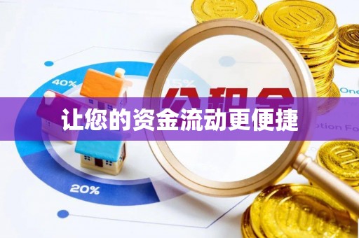 盘龙让您的资金流动更便捷