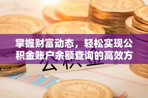 泸州掌握财富动态，轻松实现公积金账户余额查询的高效方法
