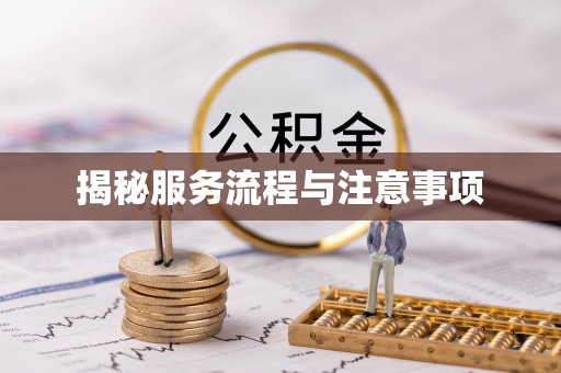 高效揭秘服务流程与注意事项