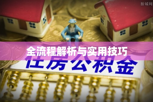 邹平全流程解析与实用技巧
