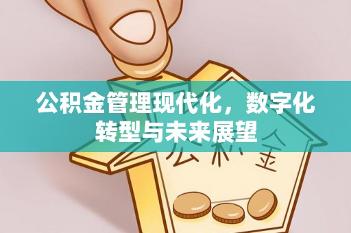 融安公积金管理现代化，数字化转型与未来展望