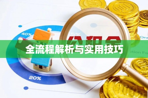 清新全流程解析与实用技巧