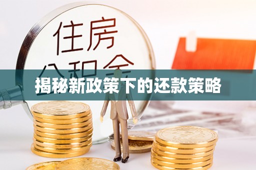 阜康揭秘新政策下的还款策略