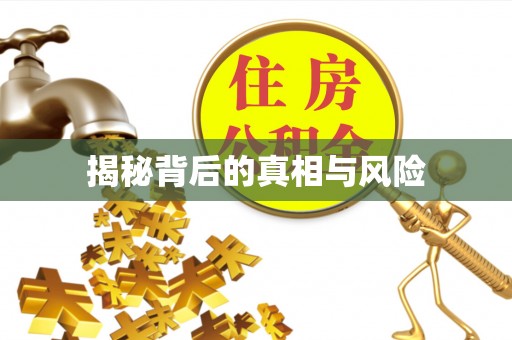 元江揭秘背后的真相与风险