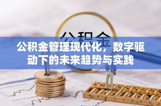 漾濞公积金管理现代化，数字驱动下的未来趋势与实践