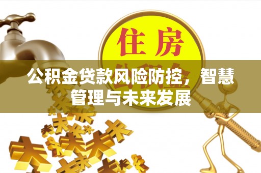 旬阳公积金贷款风险防控，智慧管理与未来发展