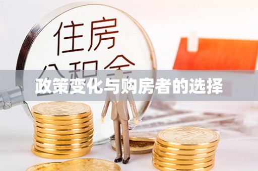 建宁政策变化与购房者的选择