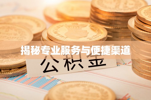 南澳揭秘专业服务与便捷渠道