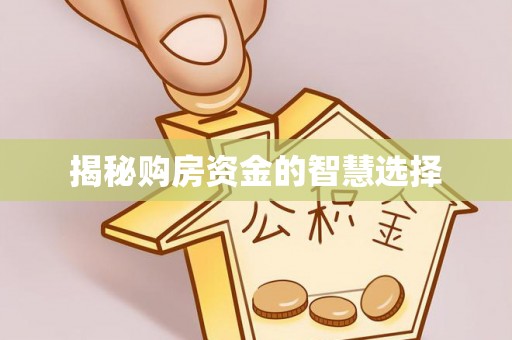 日照揭秘购房资金的智慧选择