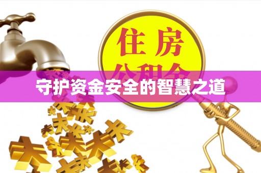 日照守护资金安全的智慧之道