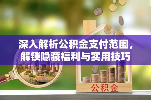 玛沁深入解析公积金支付范围，解锁隐藏福利与实用技巧