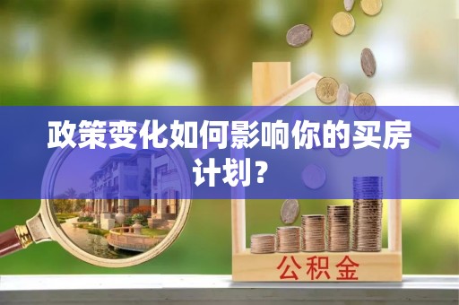 当阳政策变化如何影响你的买房计划？