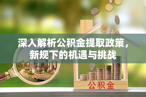 南投市深入解析公积金提取政策，新规下的机遇与挑战
