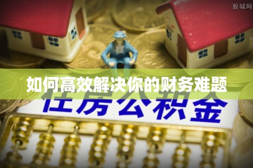 船山如何高效解决你的财务难题