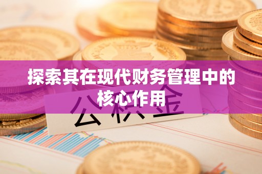 徐汇探索其在现代财务管理中的核心作用