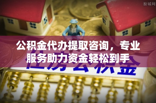 巴青公积金代办提取咨询，专业服务助力资金轻松到手