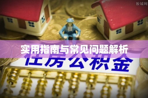 抚远实用指南与常见问题解析
