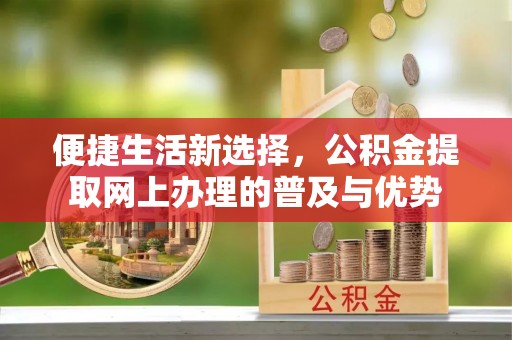 海港便捷生活新选择，公积金提取网上办理的普及与优势