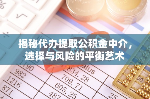 阜康揭秘代办提取公积金中介，选择与风险的平衡艺术