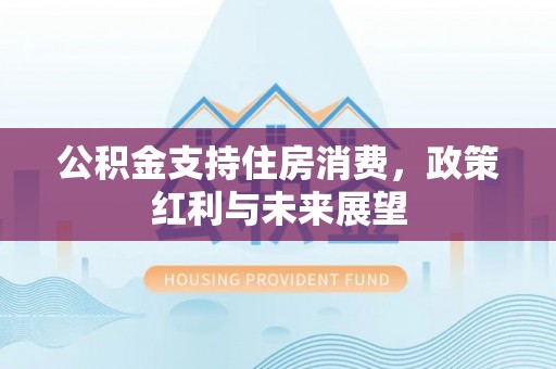 云林公积金支持住房消费，政策红利与未来展望