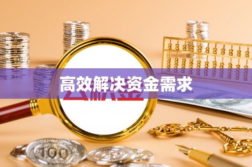 新林高效解决资金需求