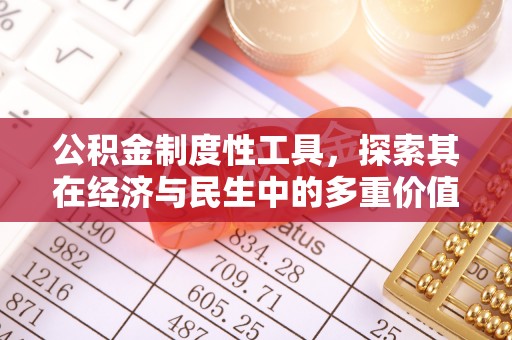 新林公积金制度性工具，探索其在经济与民生中的多重价值
