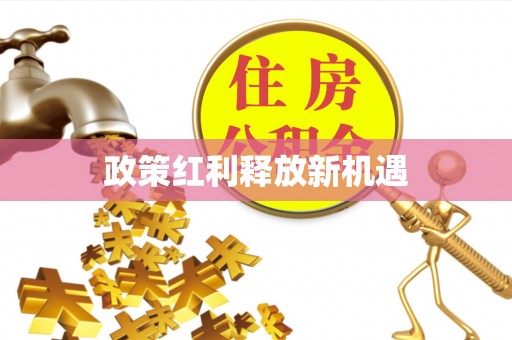 宝塔政策红利释放新机遇