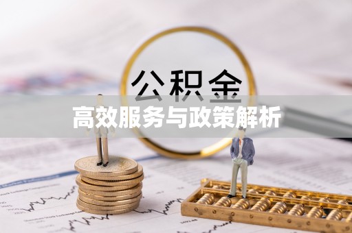 金湾高效服务与政策解析