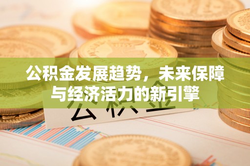宛城公积金发展趋势，未来保障与经济活力的新引擎