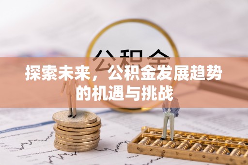 漳县探索未来，公积金发展趋势的机遇与挑战