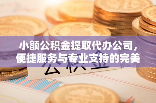 泰山小额公积金提取代办公司，便捷服务与专业支持的完美结合