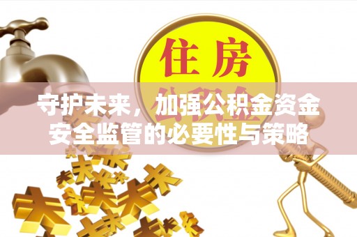 漾濞守护未来，加强公积金资金安全监管的必要性与策略