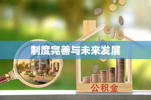 桐柏制度完善与未来发展