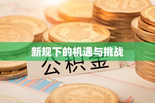 元宝山新规下的机遇与挑战