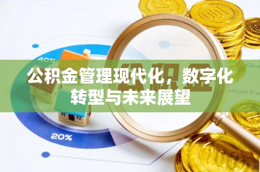 普湾新区公积金管理现代化，数字化转型与未来展望