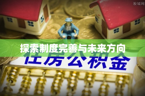 南皮探索制度完善与未来方向