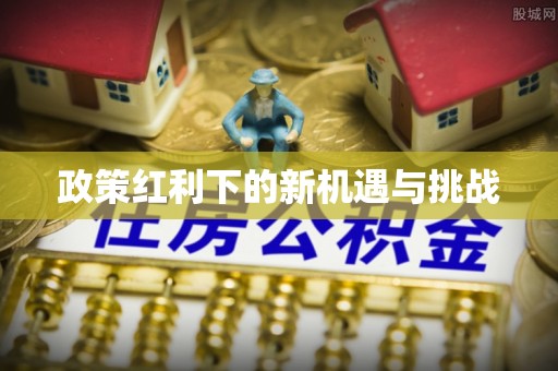 横栏政策红利下的新机遇与挑战