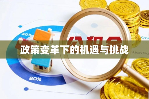 双桥政策变革下的机遇与挑战