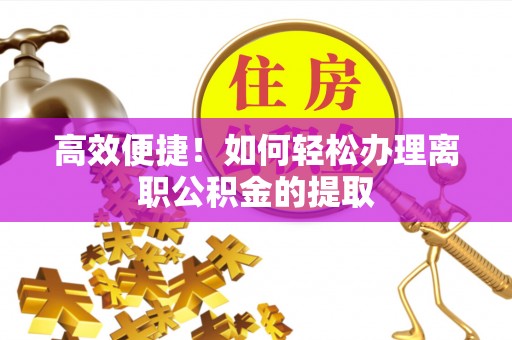 新林高效便捷！如何轻松办理离职公积金的提取