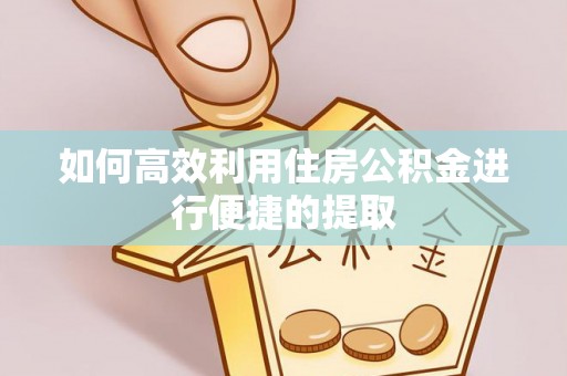 新林如何高效利用住房公积金进行便捷的提取