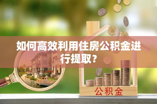 兴宾如何高效利用住房公积金进行提取？